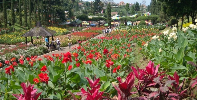 Taman Bunga