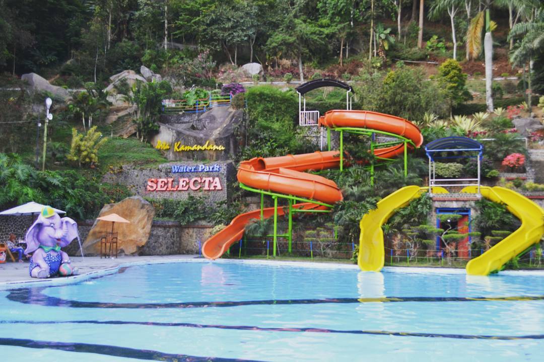 Kolam Renang