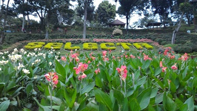 Taman Bunga