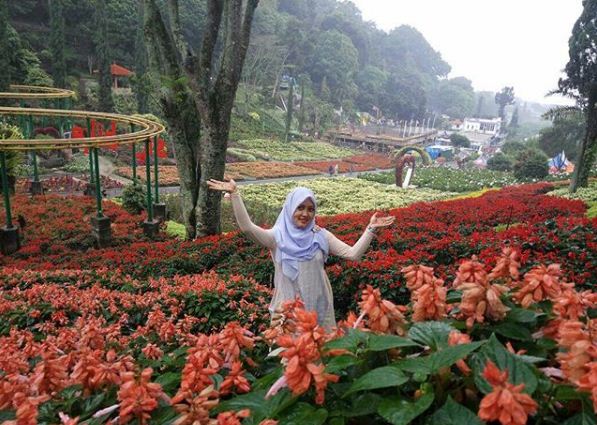 Foto Syantik dengan Bunga