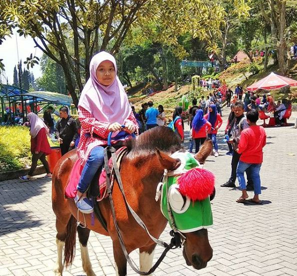Foto Menunggang Kuda