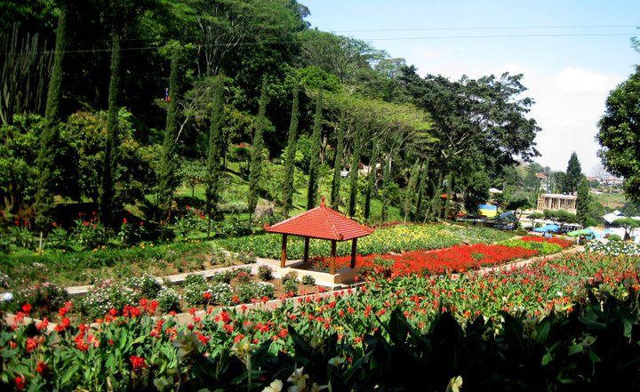 Taman Bunga