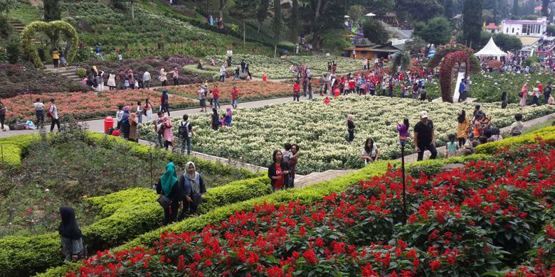 Taman Bunga