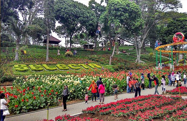 Taman Bunga