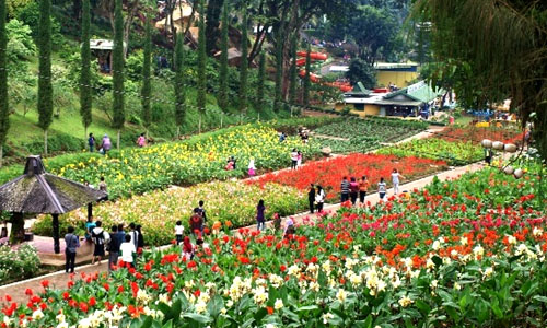 Taman Bunga