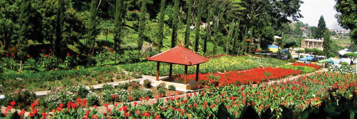 tamanbunga